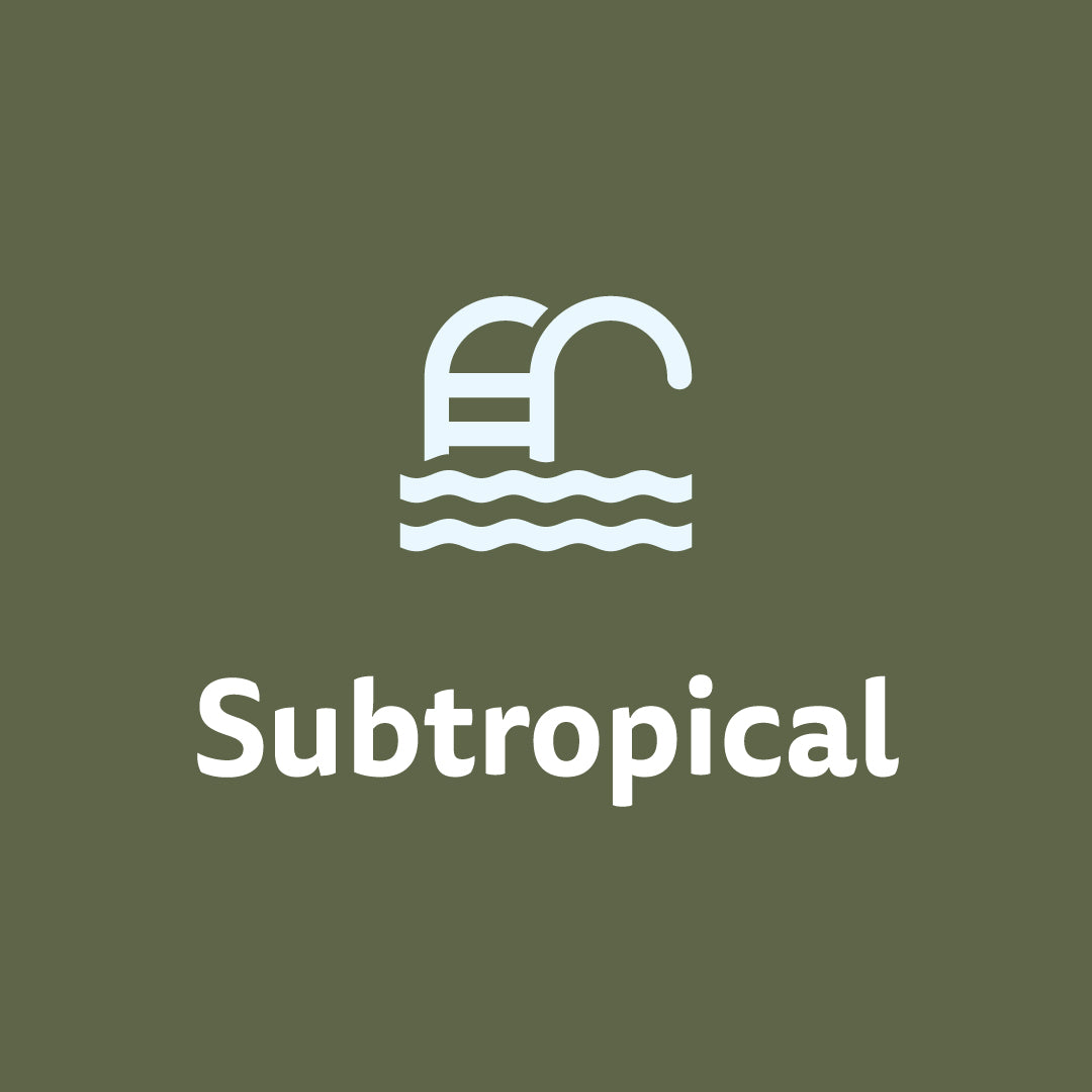 Subtropical