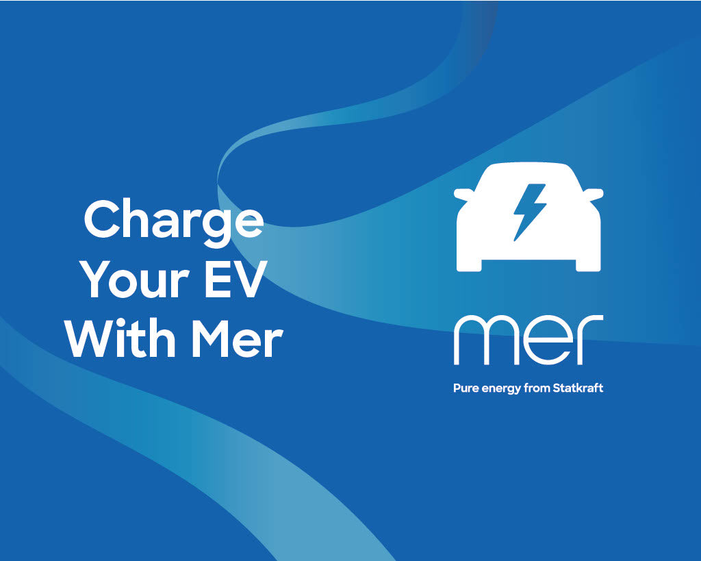 AC Dual Charger  – Charger 4 (Welsh)